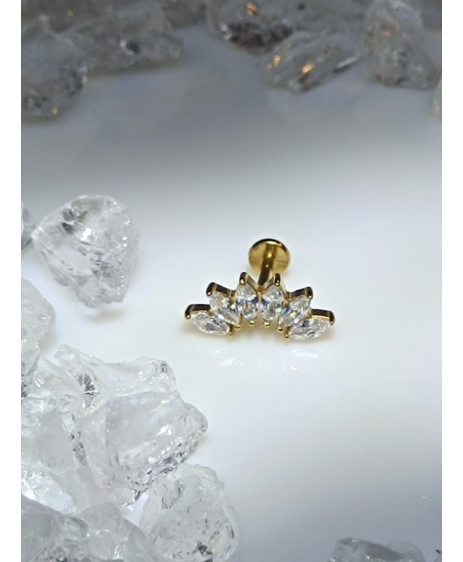 Piercing Helix bijoux oreille tragus conch lob multi strass blanc couleur doré six orelha oor ear