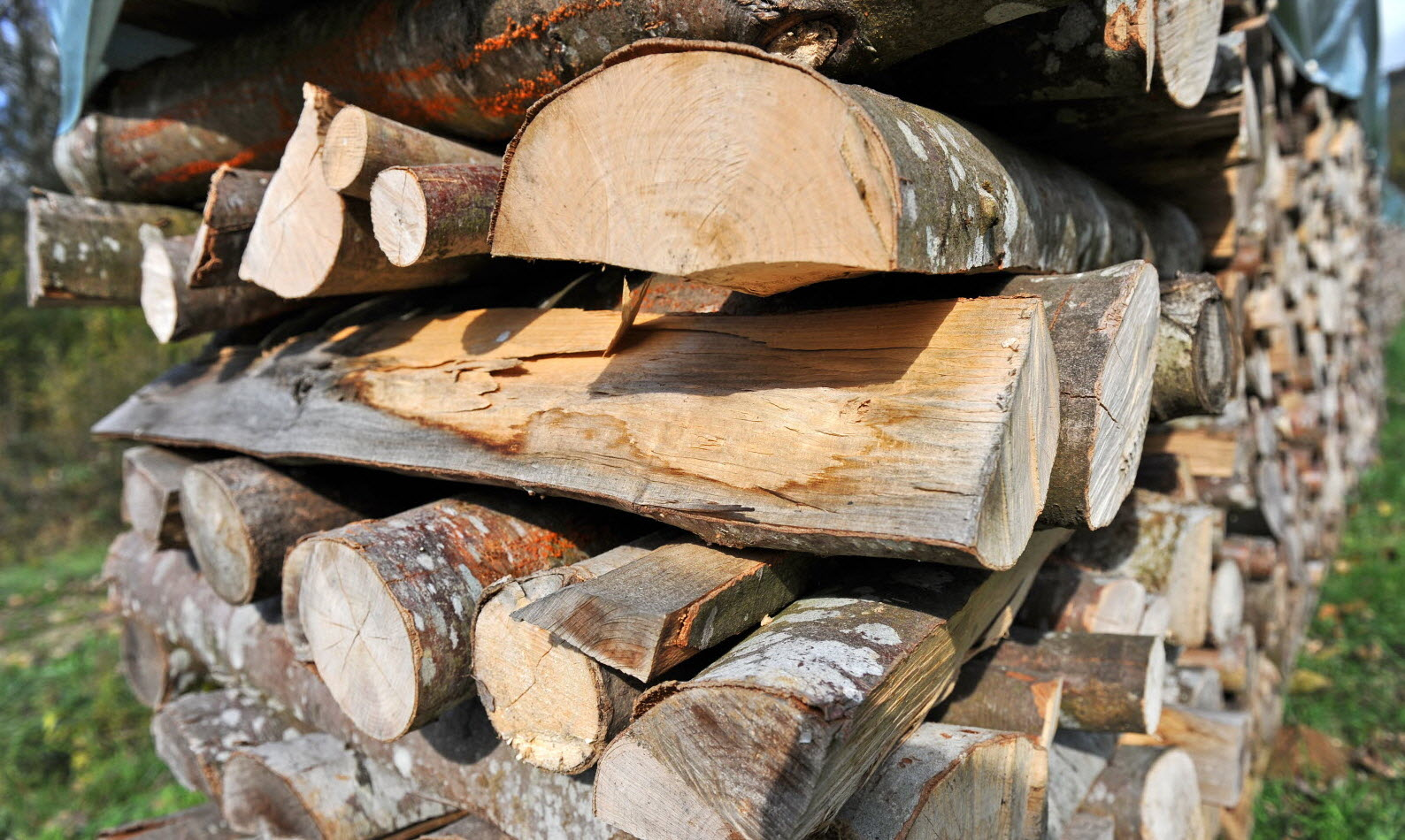 Bois de chauffage