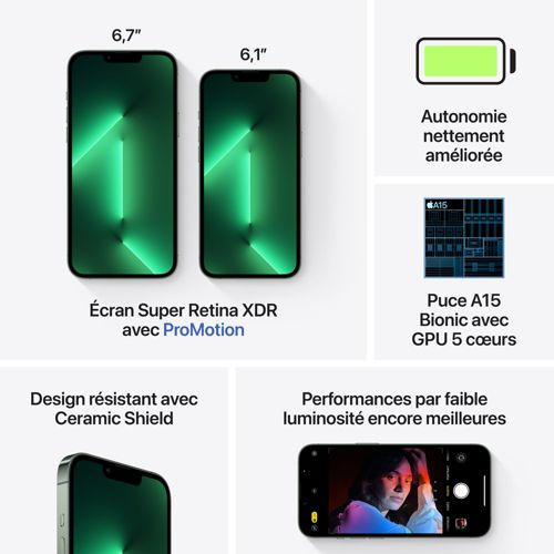 Iphone 13 pro max vert Alpin