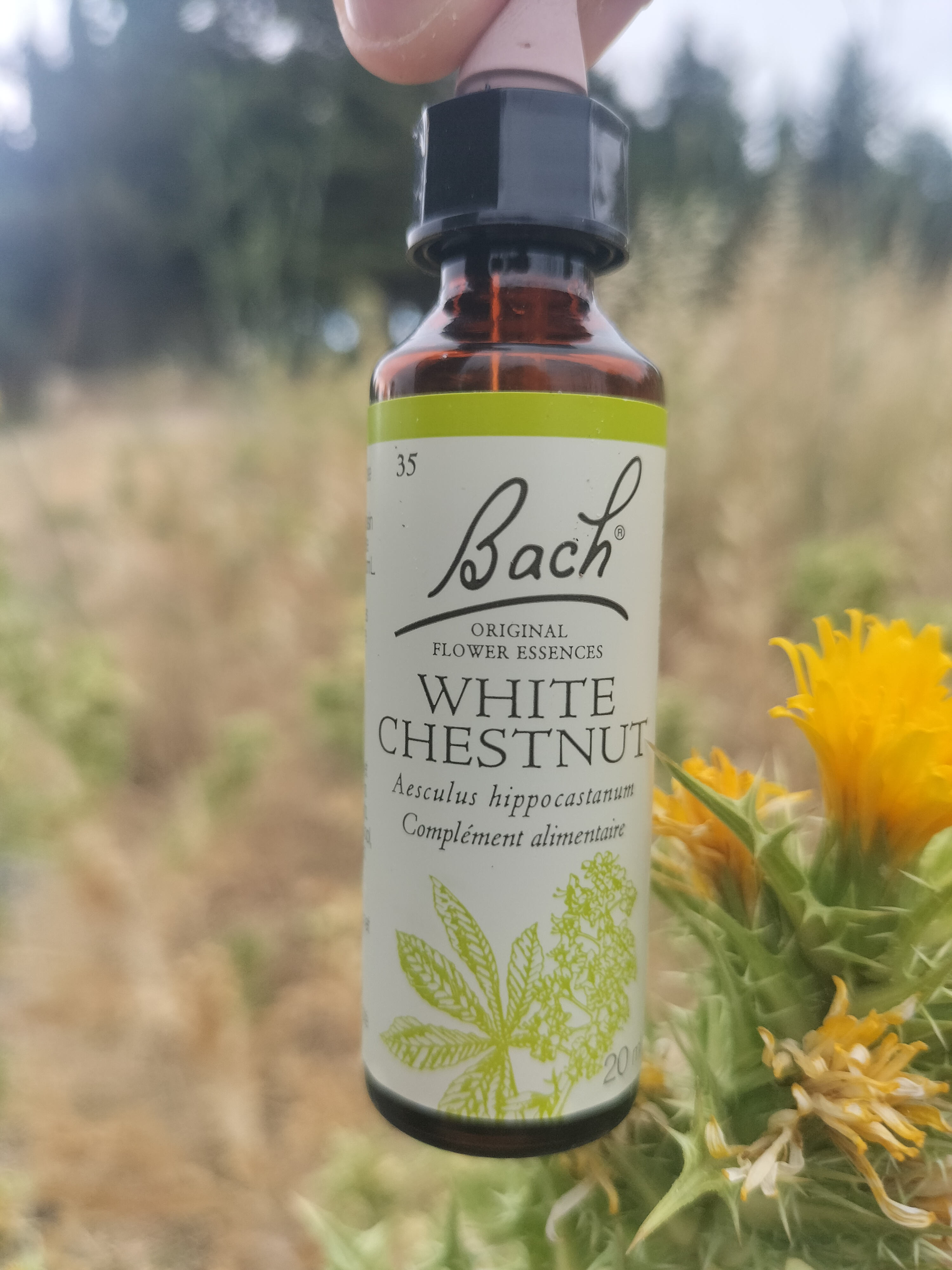 Fleur de Bach White Chestnut - Calme Mental - Photo 1