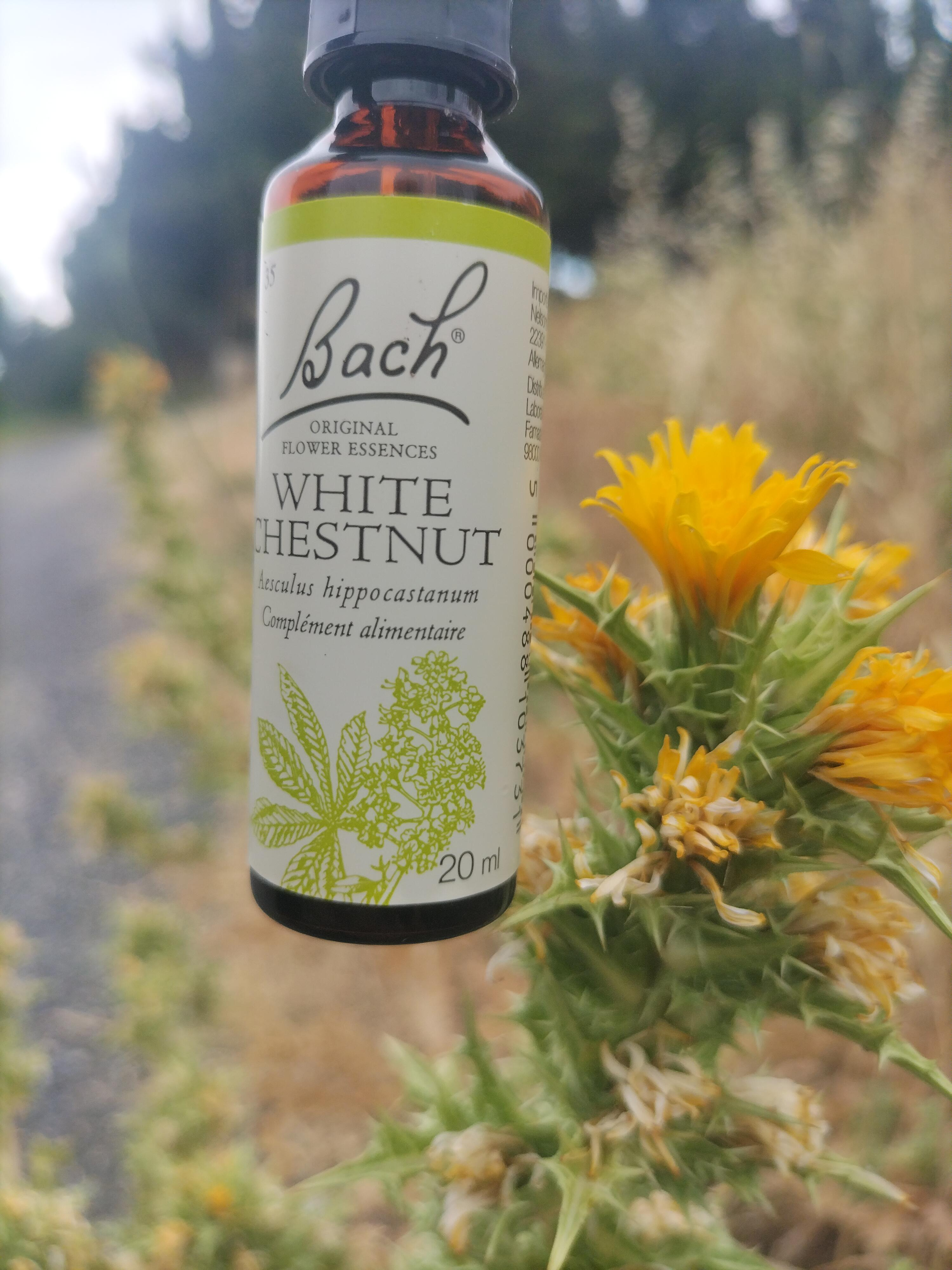 Fleur de Bach White Chestnut - Calme Mental