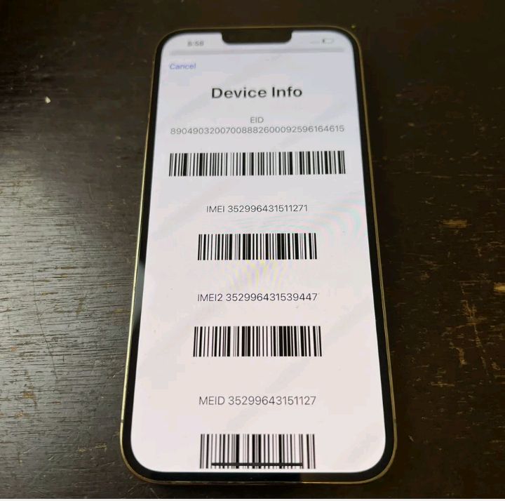 iPhone 13 pro max