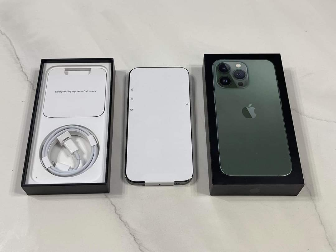 IPhone 13 Pro etat neuf