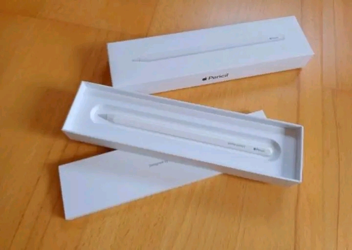 iPad Pro 12,9 pouces(5e Génération) 256 Go avec stylot et autres
accessoire
