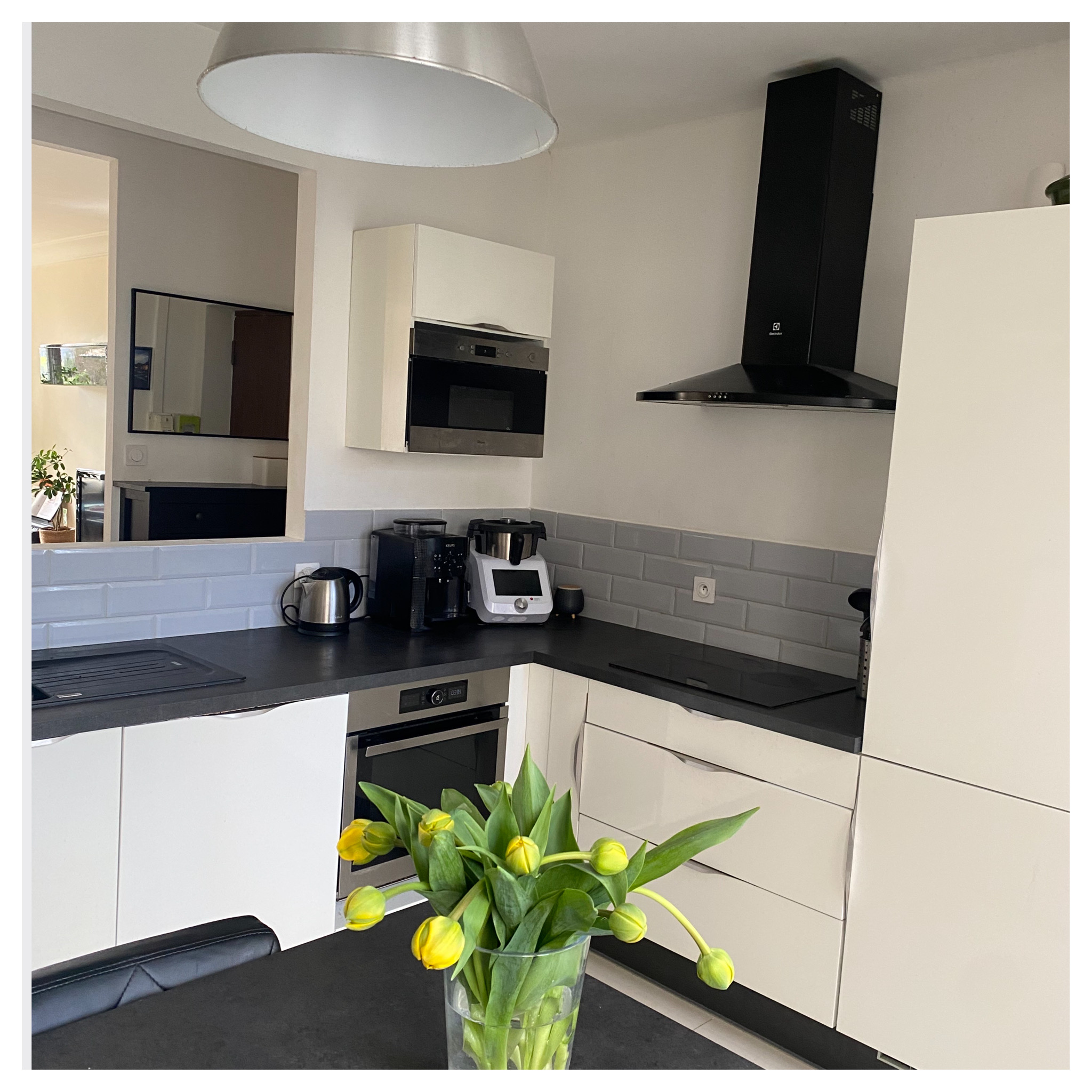 T3 de 90m² avec espace vert à Lyon Croix-Rousse (69004)