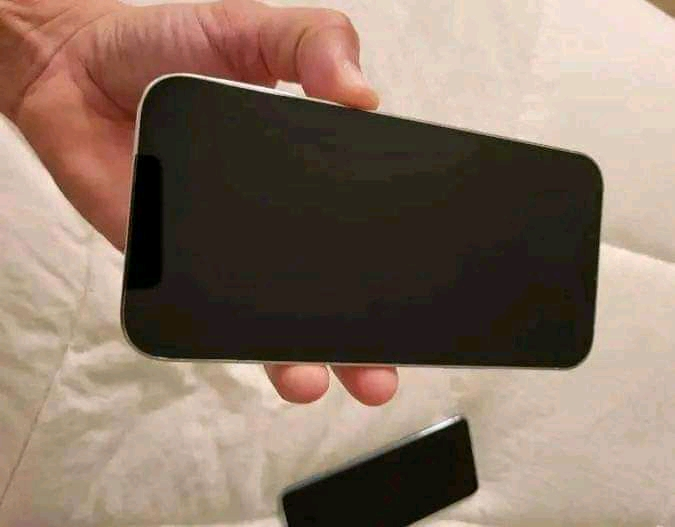 iPhone 13 pro max