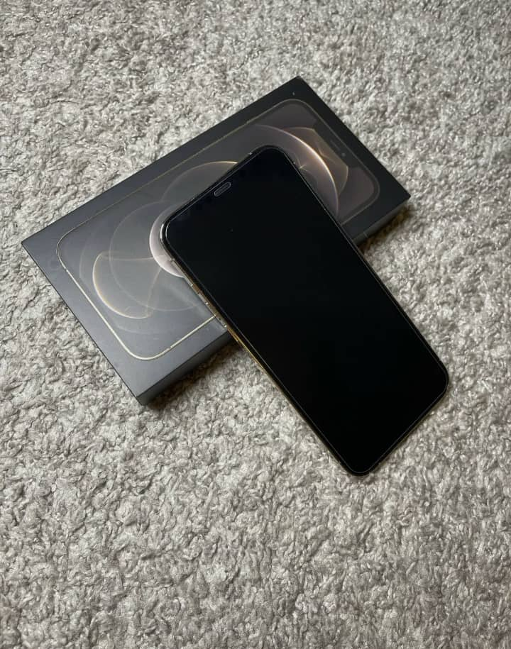 iPhone 13pro max