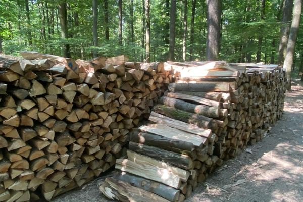 Bois de chauffage Rona, 16 po, 0.75 pi³ - Miniature 3