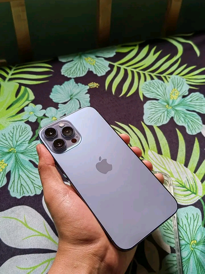 iPhone 13 Pro Max