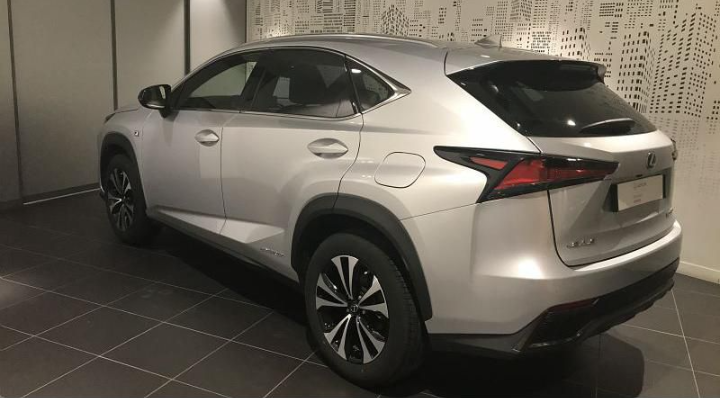 LEXUS GRIS PLATINE