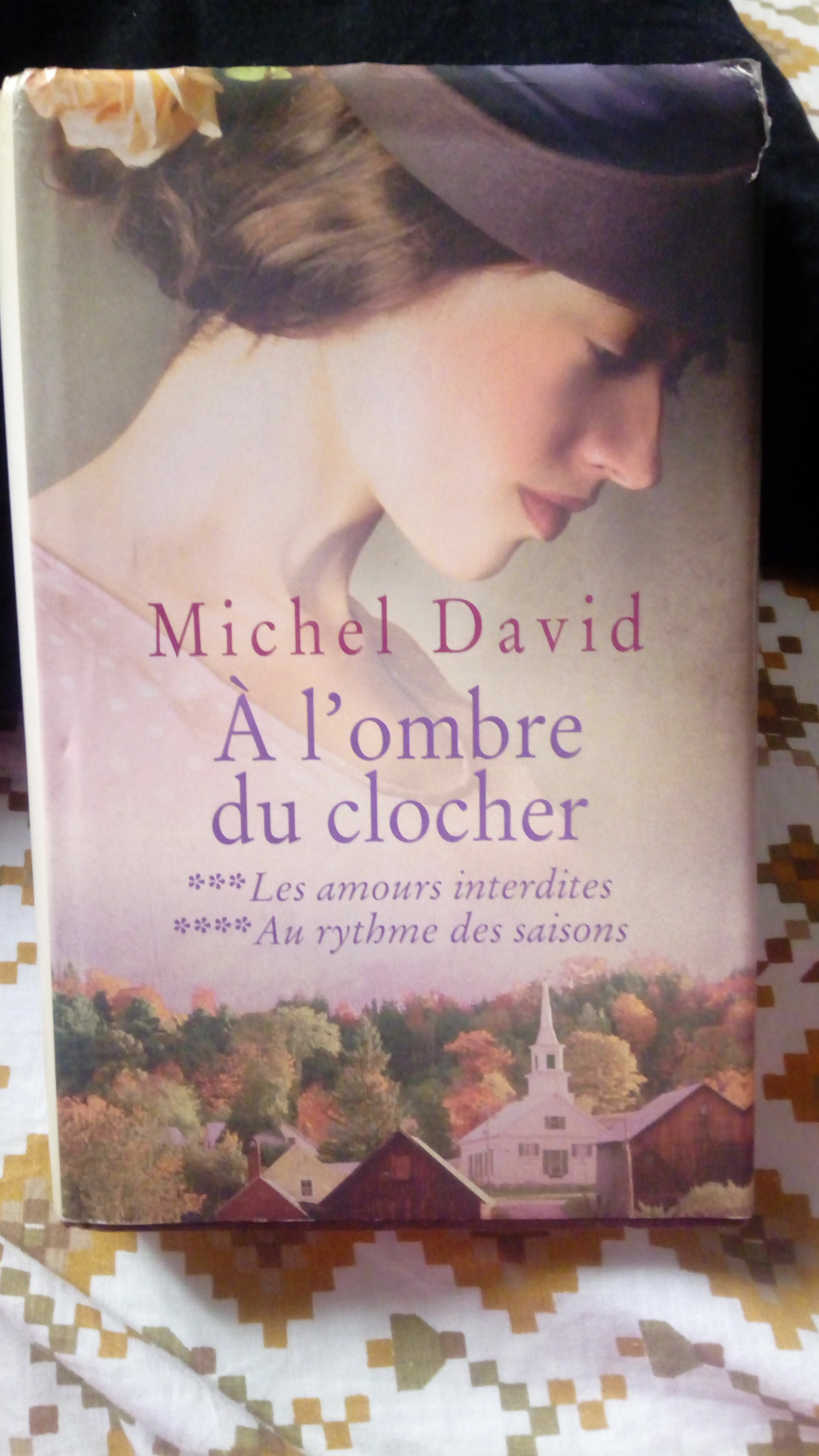 a l'ombre du clocher  Michel david