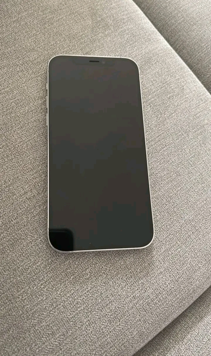 iPhone 12pro max