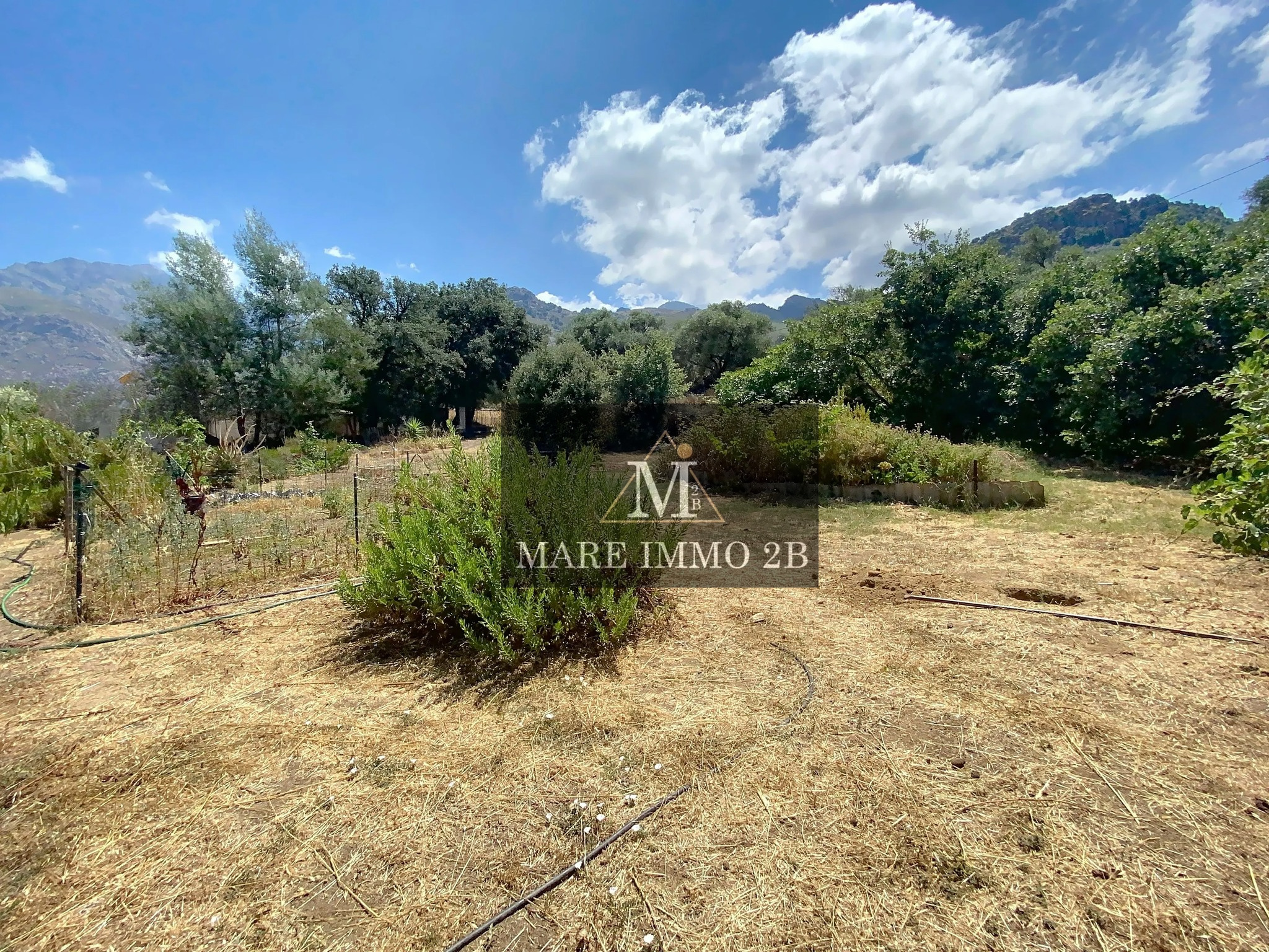 TERRAIN CONSTRUCTIBLE - Miniature 2