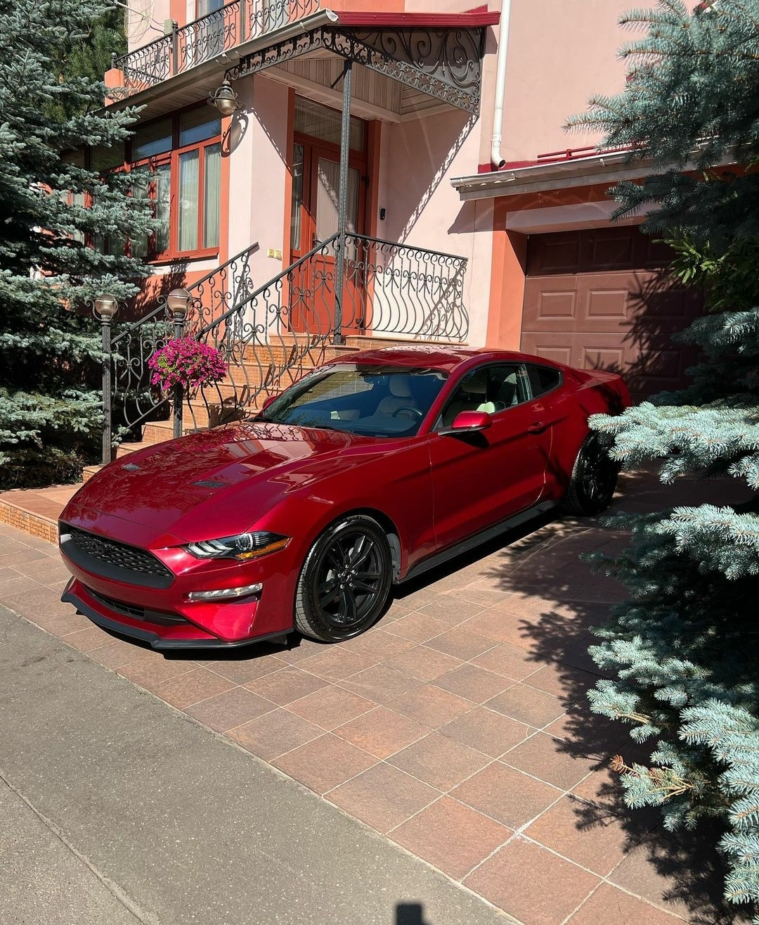 À vendre Mustang Shelby GT500