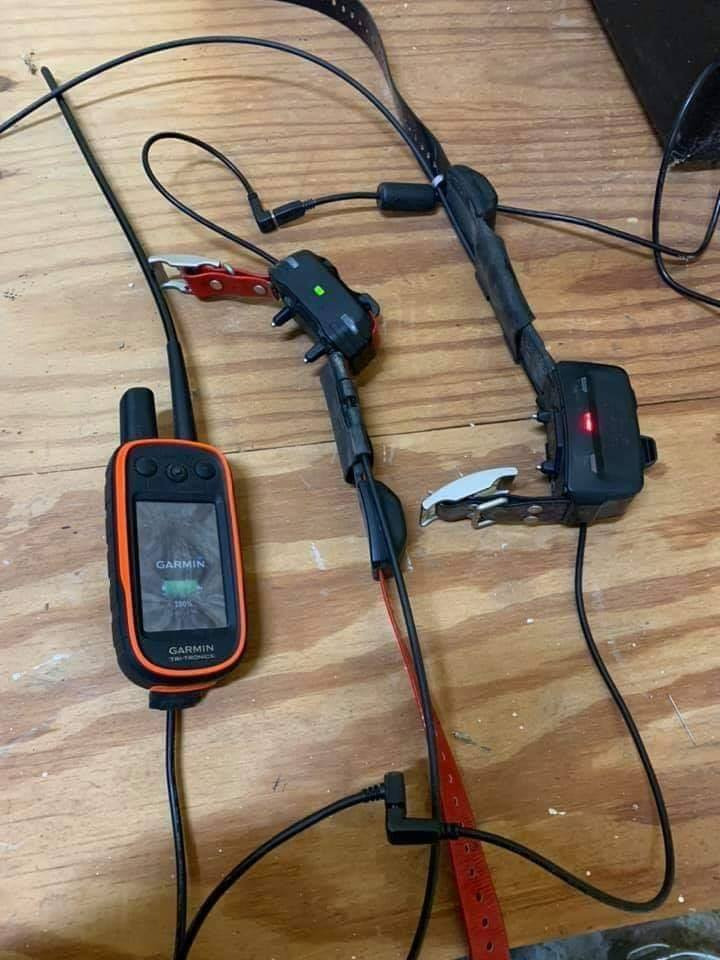 Garmin alpha 100 et les colliers tt 15 mini