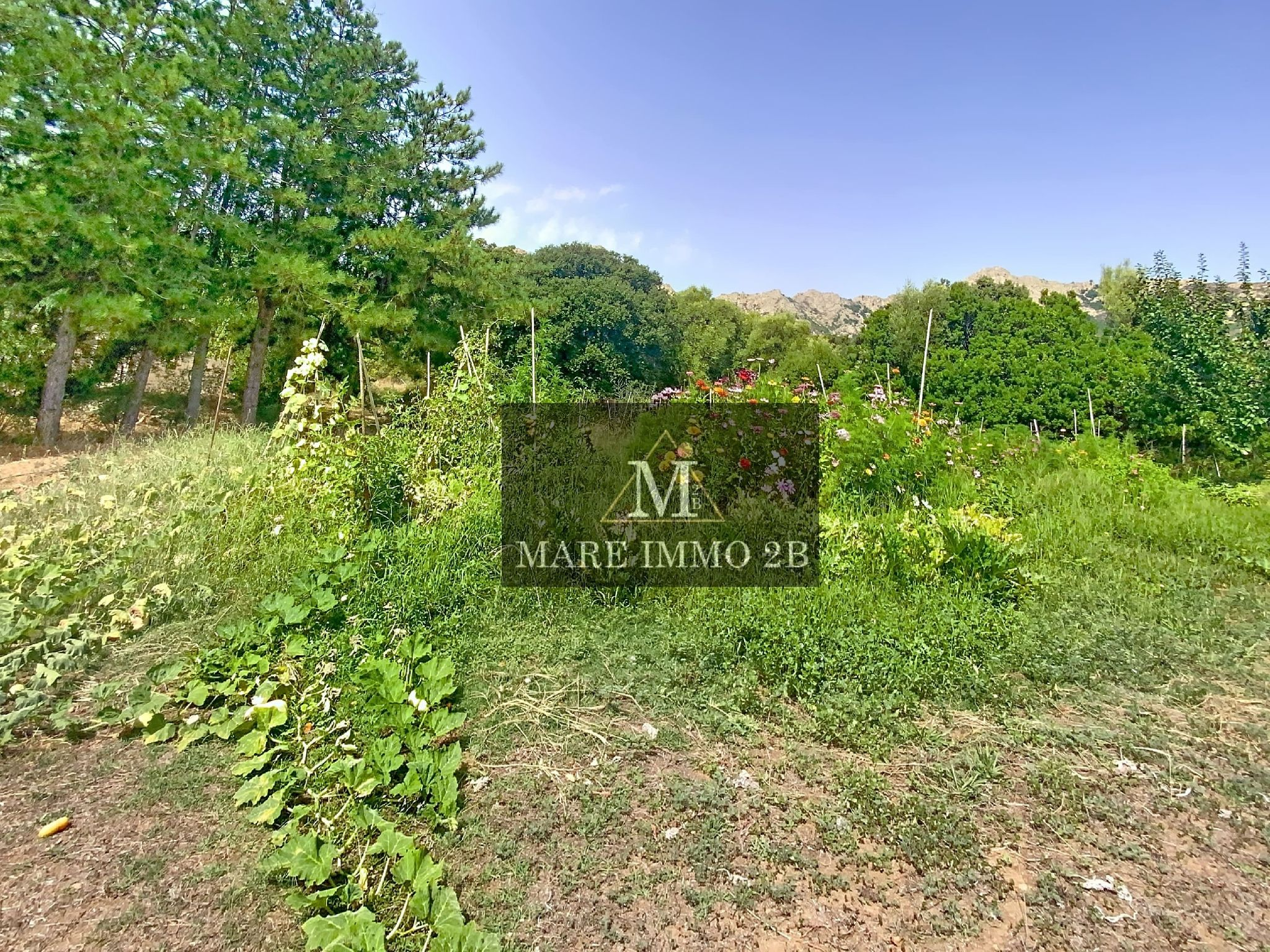 En Exclusivité :Maison de Campagne