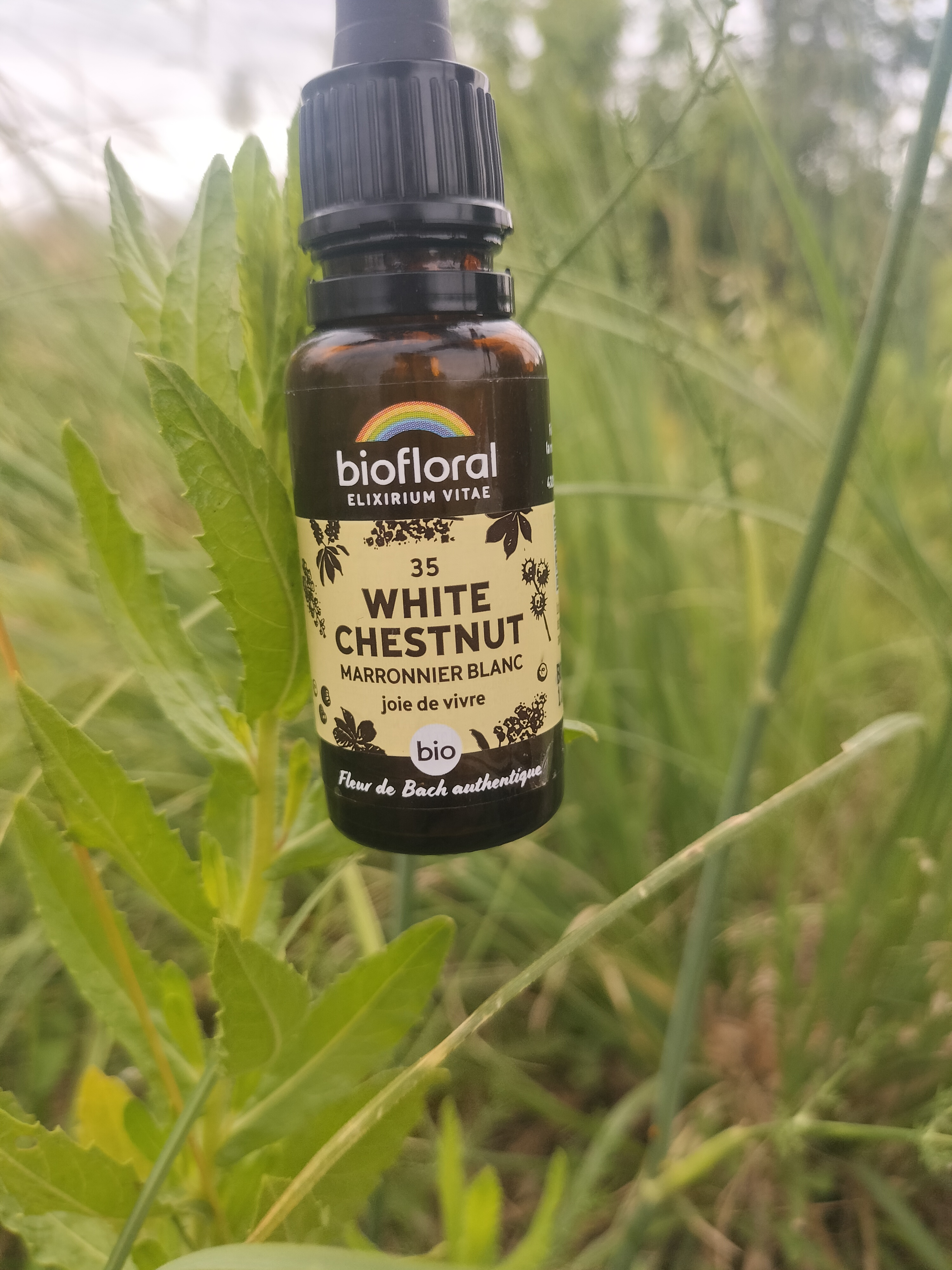 Fleur de Bach White Chestnut BIO - Esprit apaisé & Joie de vivre