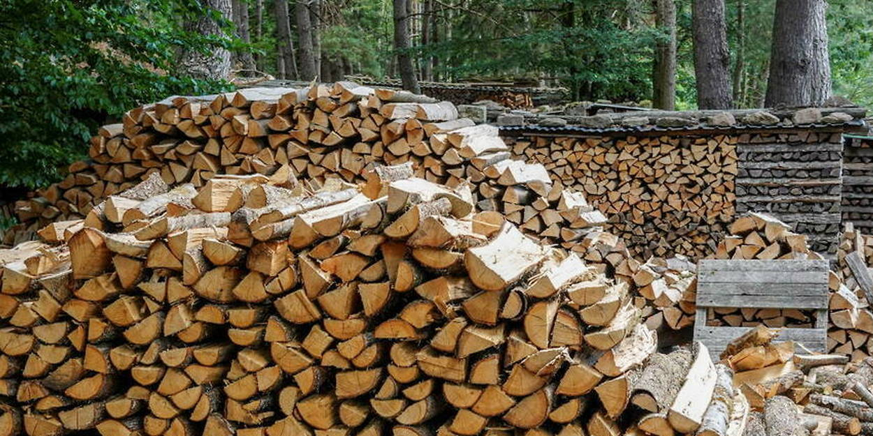 Bois de chauffage densifié, Bûches de bois, Granulés de bois,
poêles à granulés.