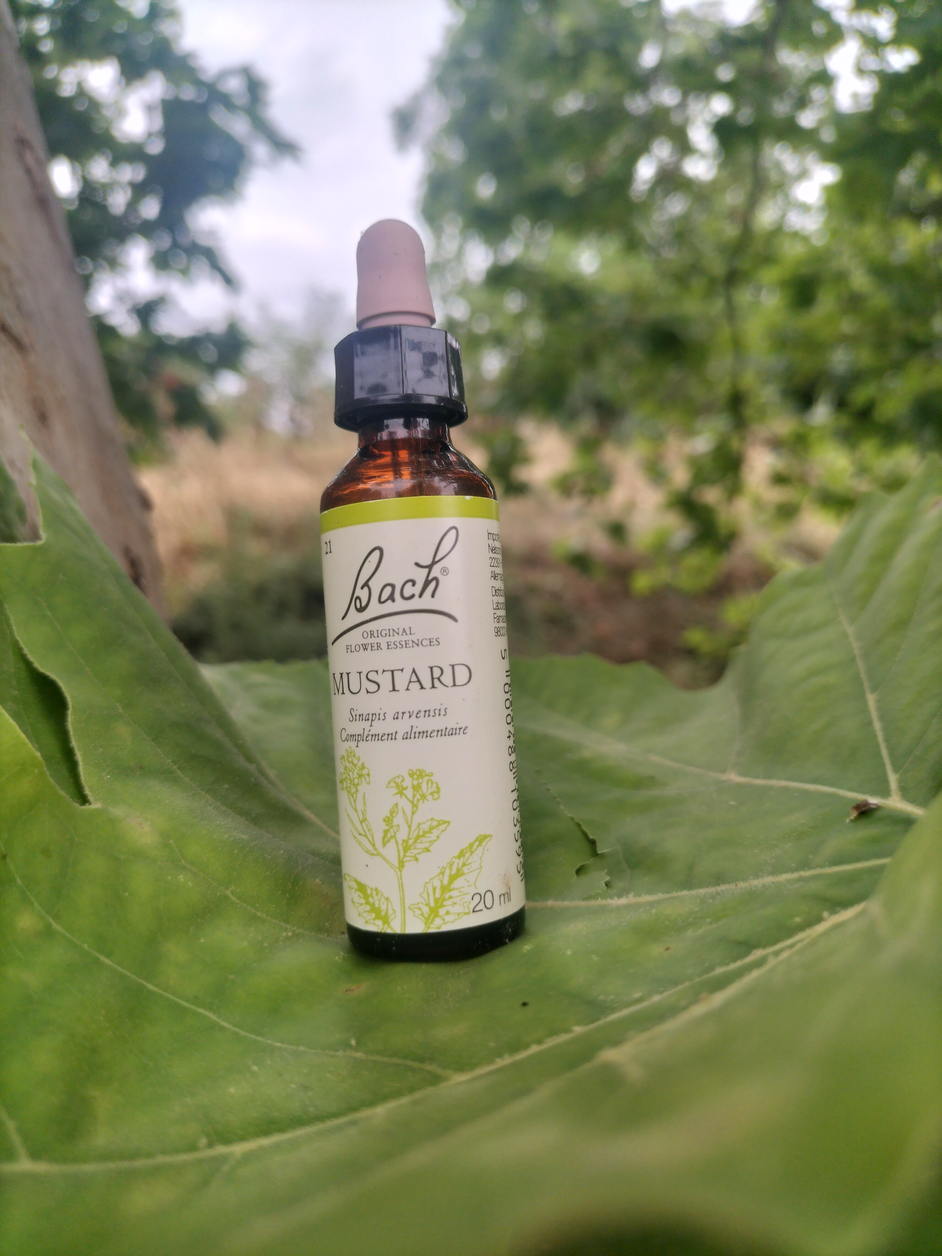 Complément alimentaire Fleur de Bach Mustard BIO