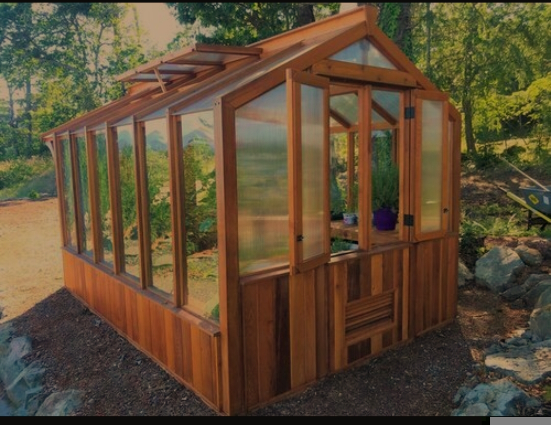 Serre Meridian bois Taille XXL 2,44 X 3,66m Neuf - Miniature 3
