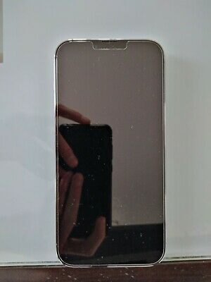 Apple iPhone 13 Pro Max - 256 Go - Bleu Alpin (Déverrouillé) +AirPods Pro1 - Miniature 3