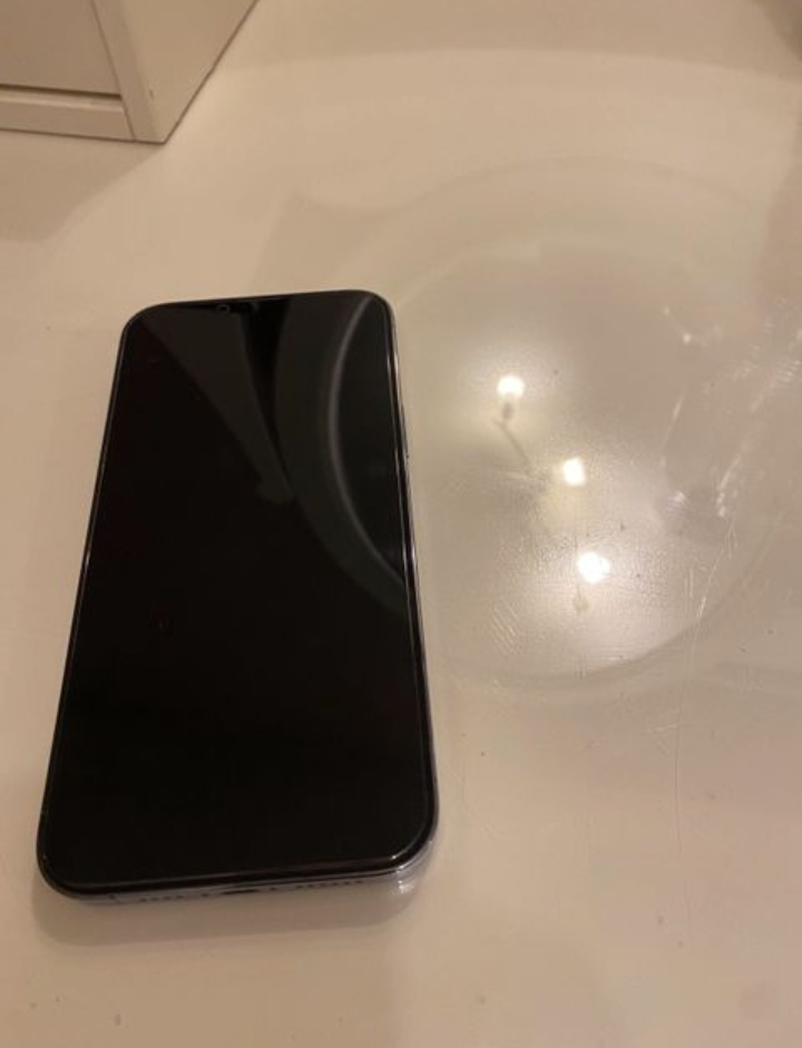 iPhone 13 pro max