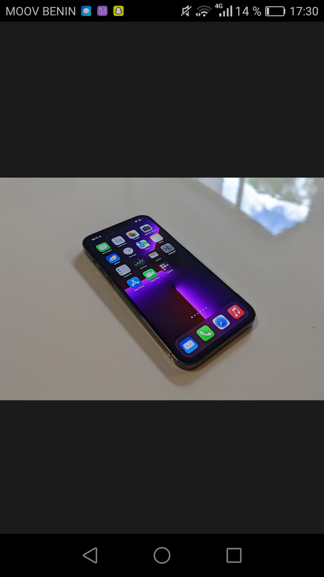 iPhone 13 pro max