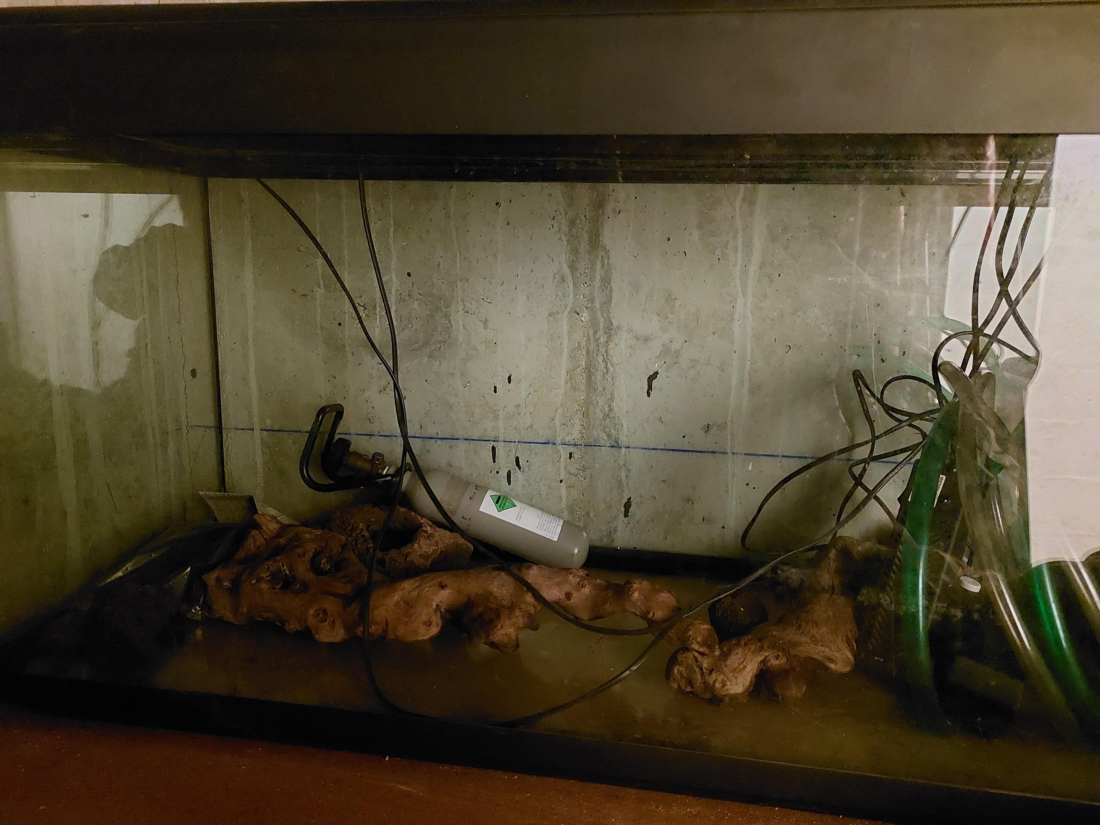 Aquarium