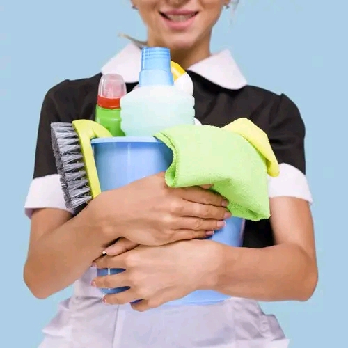 Ch aide ménagère ménage aimant travail soigné