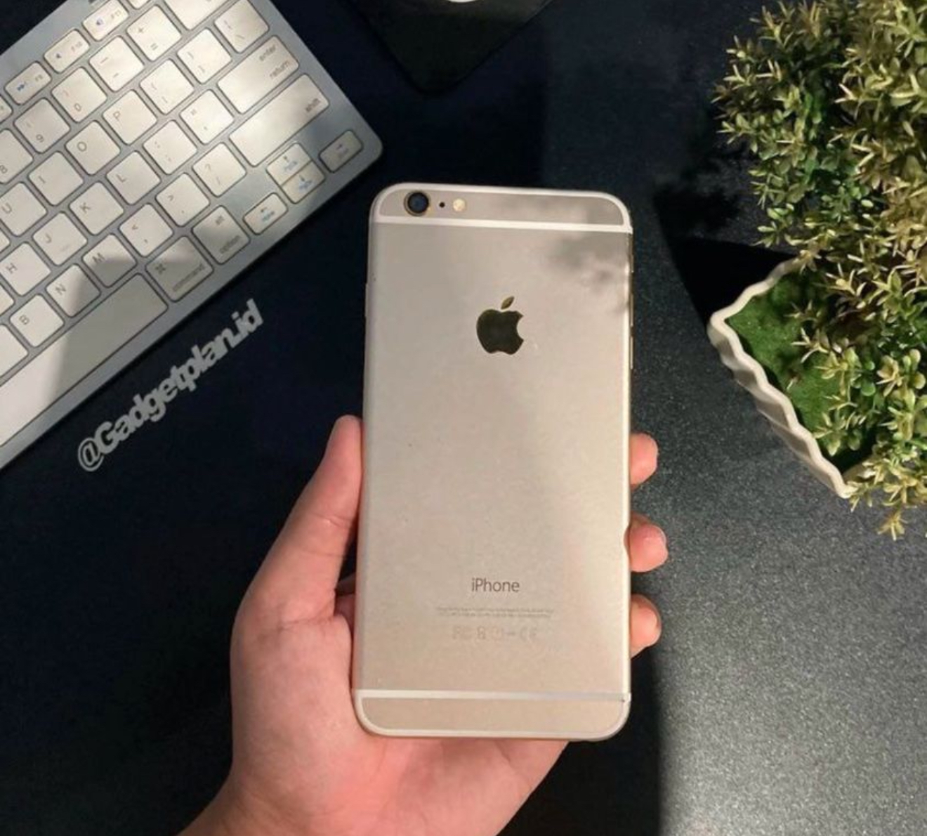 iPhone 6 Plus
