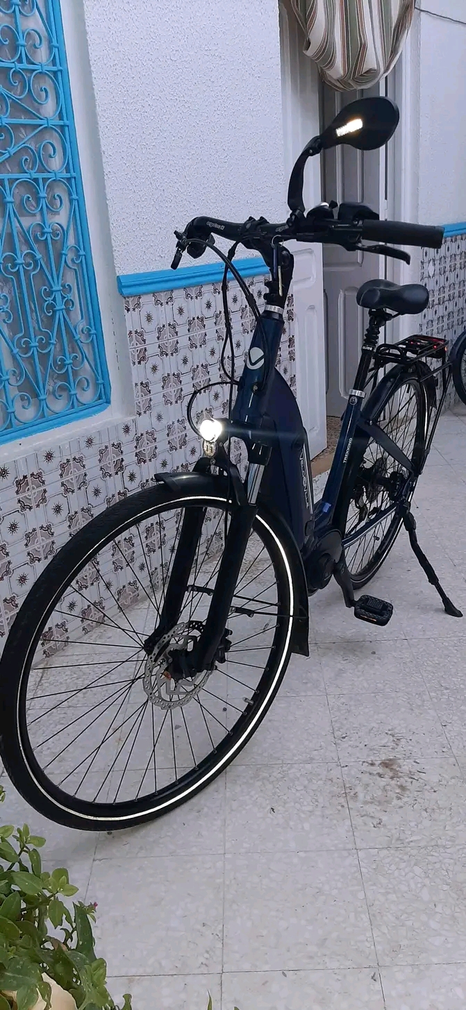 Trekking Électrique AEB 200