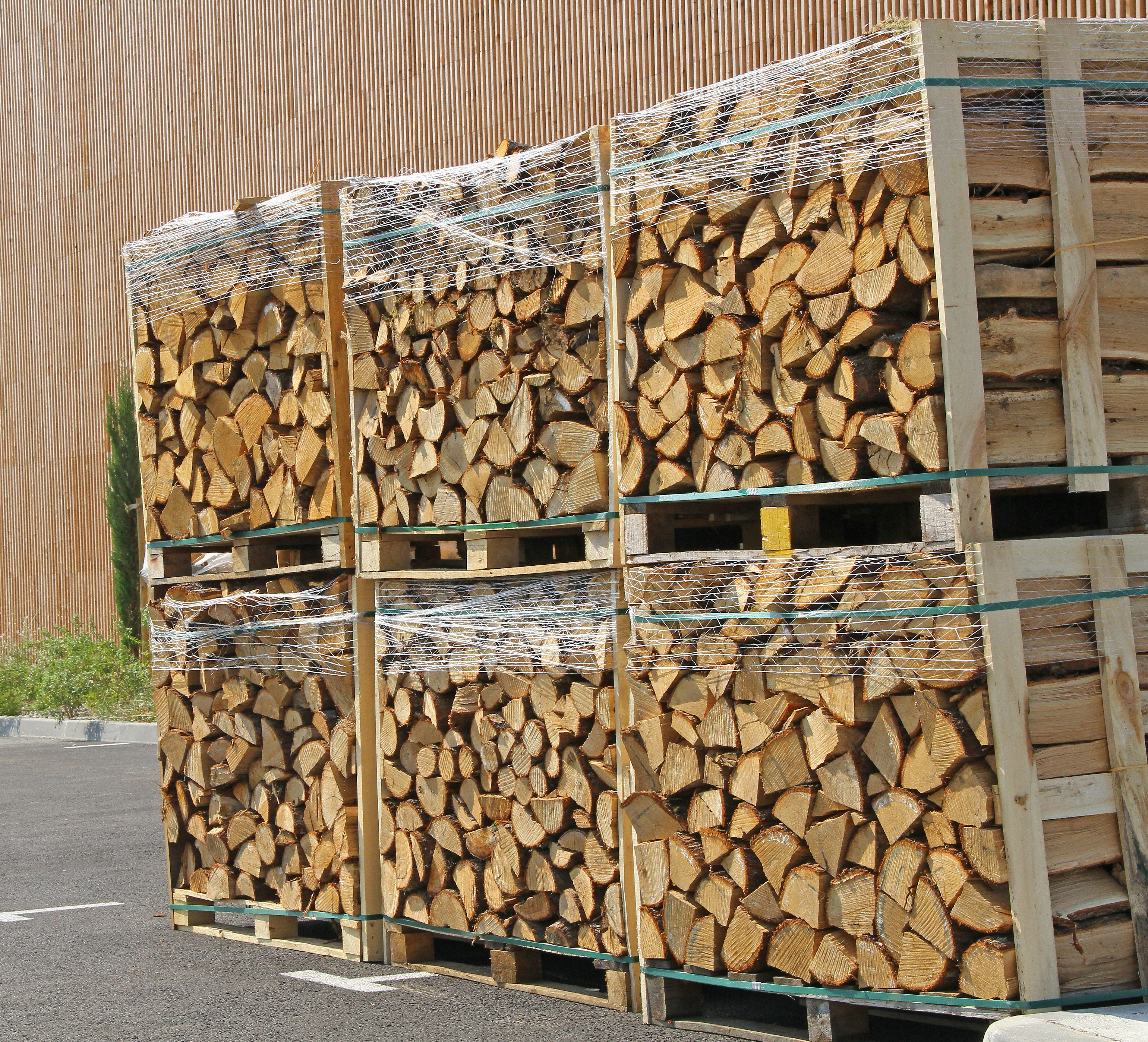 Bois de chauffage de très bonne qualité