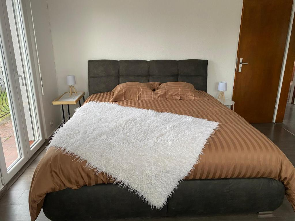 Appartement t3