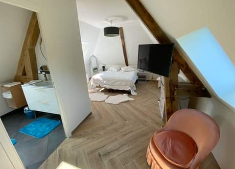 Appartement et studio en location - Miniature 7