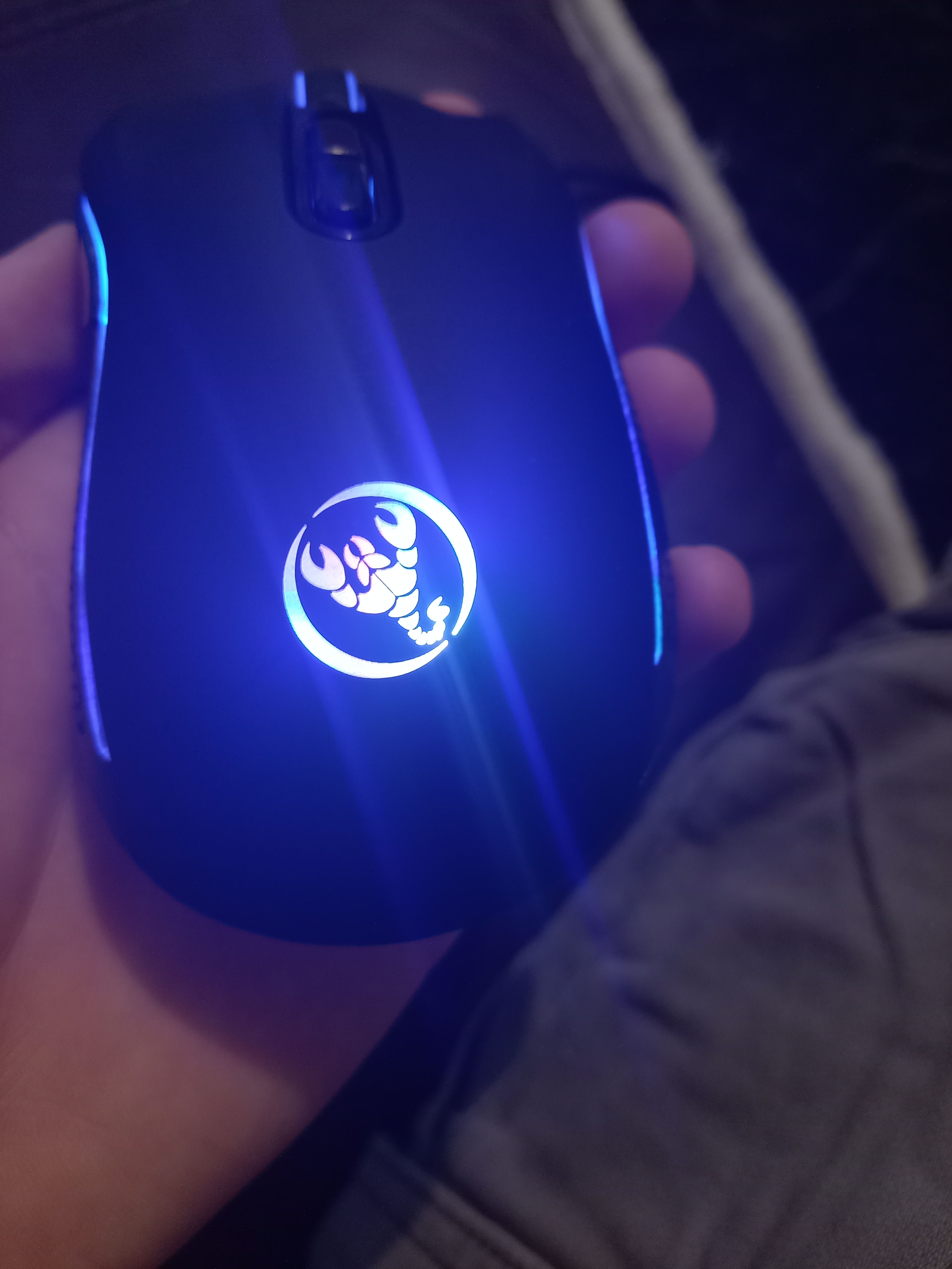 Mouse multicolore
