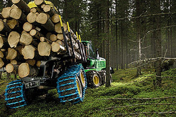 Vente Bois de construction - Miniature 3