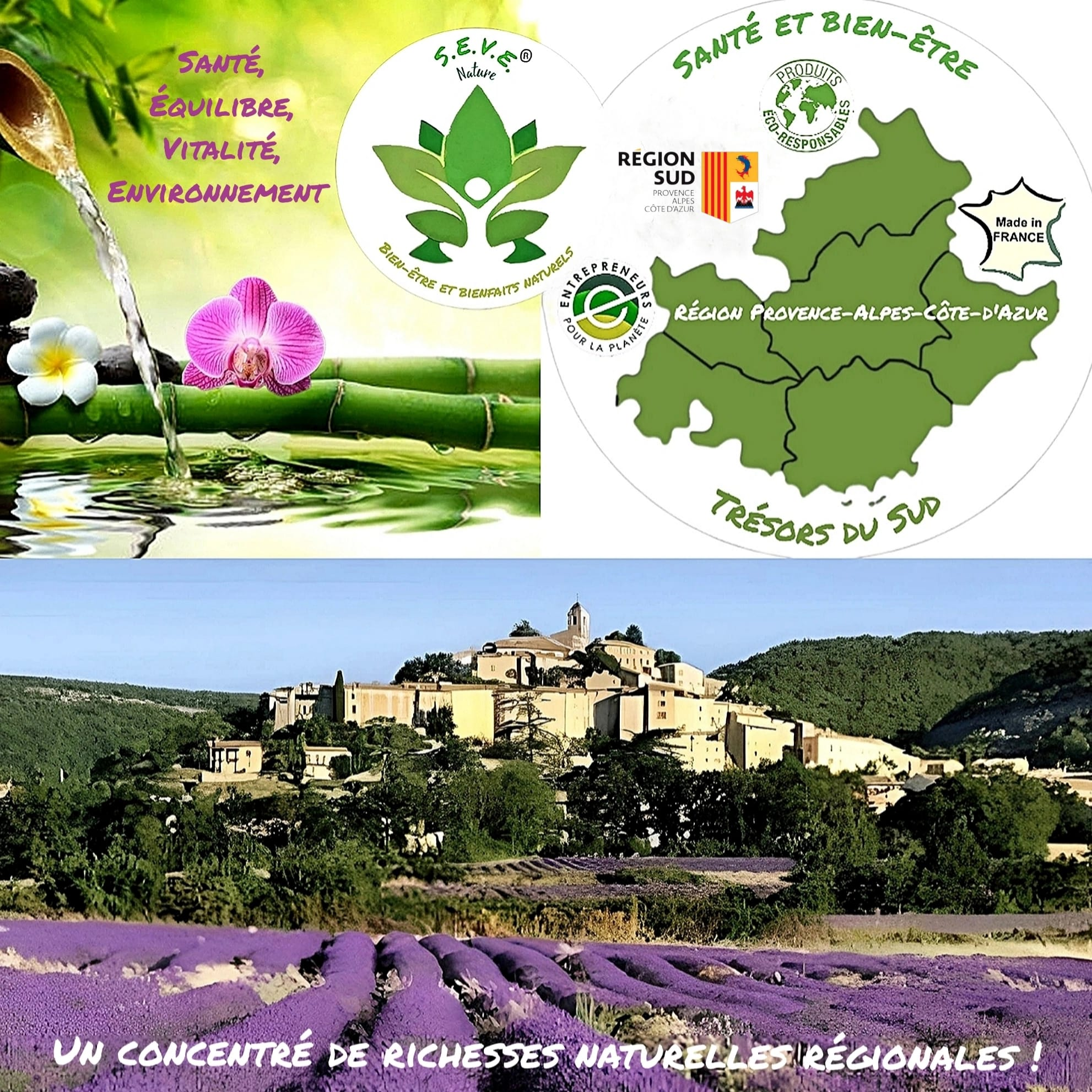 SEVE Nature bienfaits naturels du sud - Miniature 9