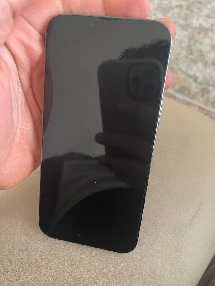 iPhone 13pro max