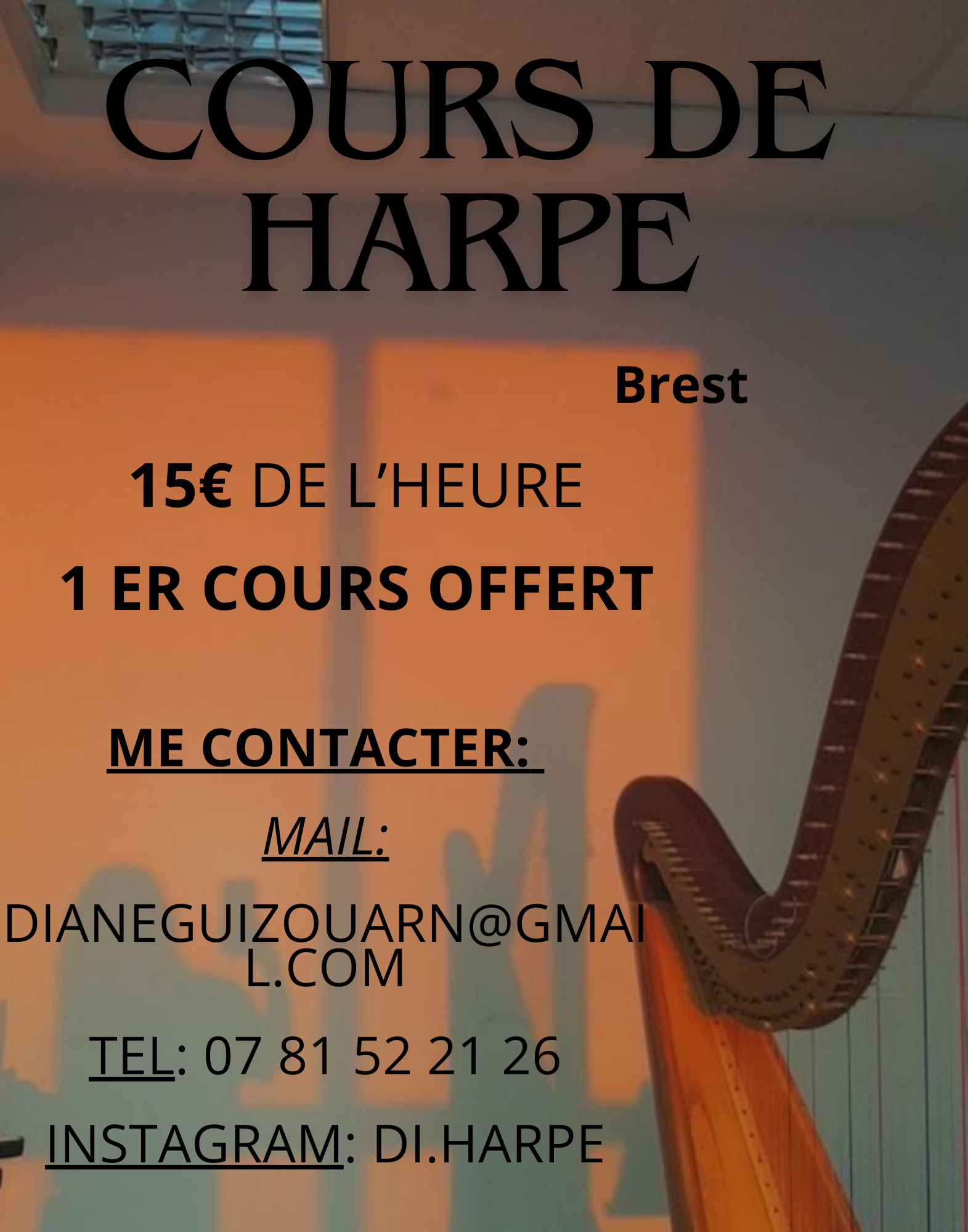 Cours de harpe pour tous les niveaux