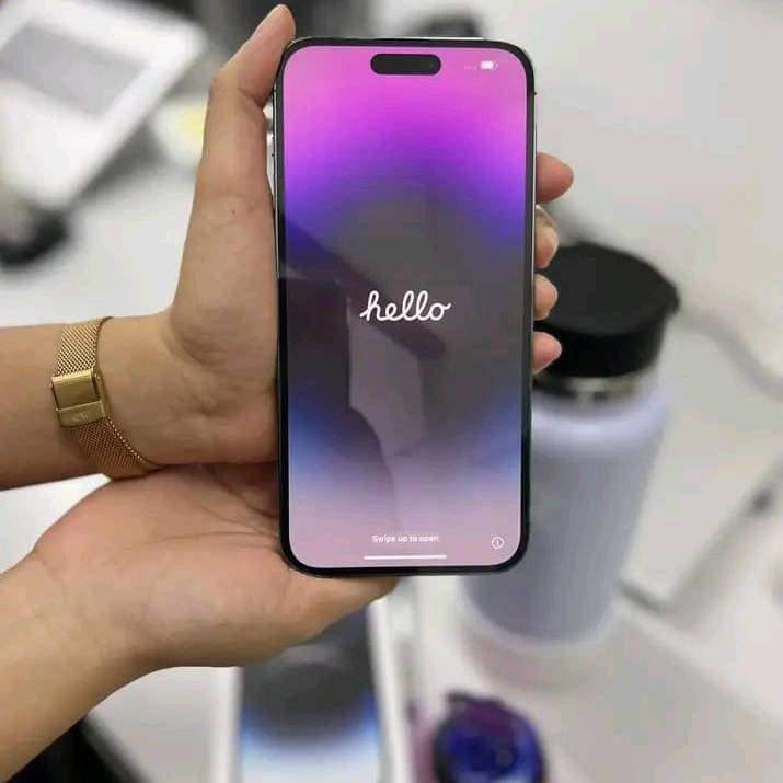 iPhone 14 Pro Max