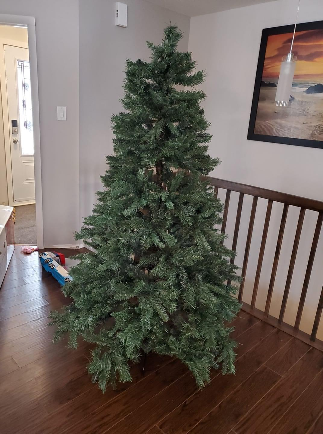Sapin a vendre