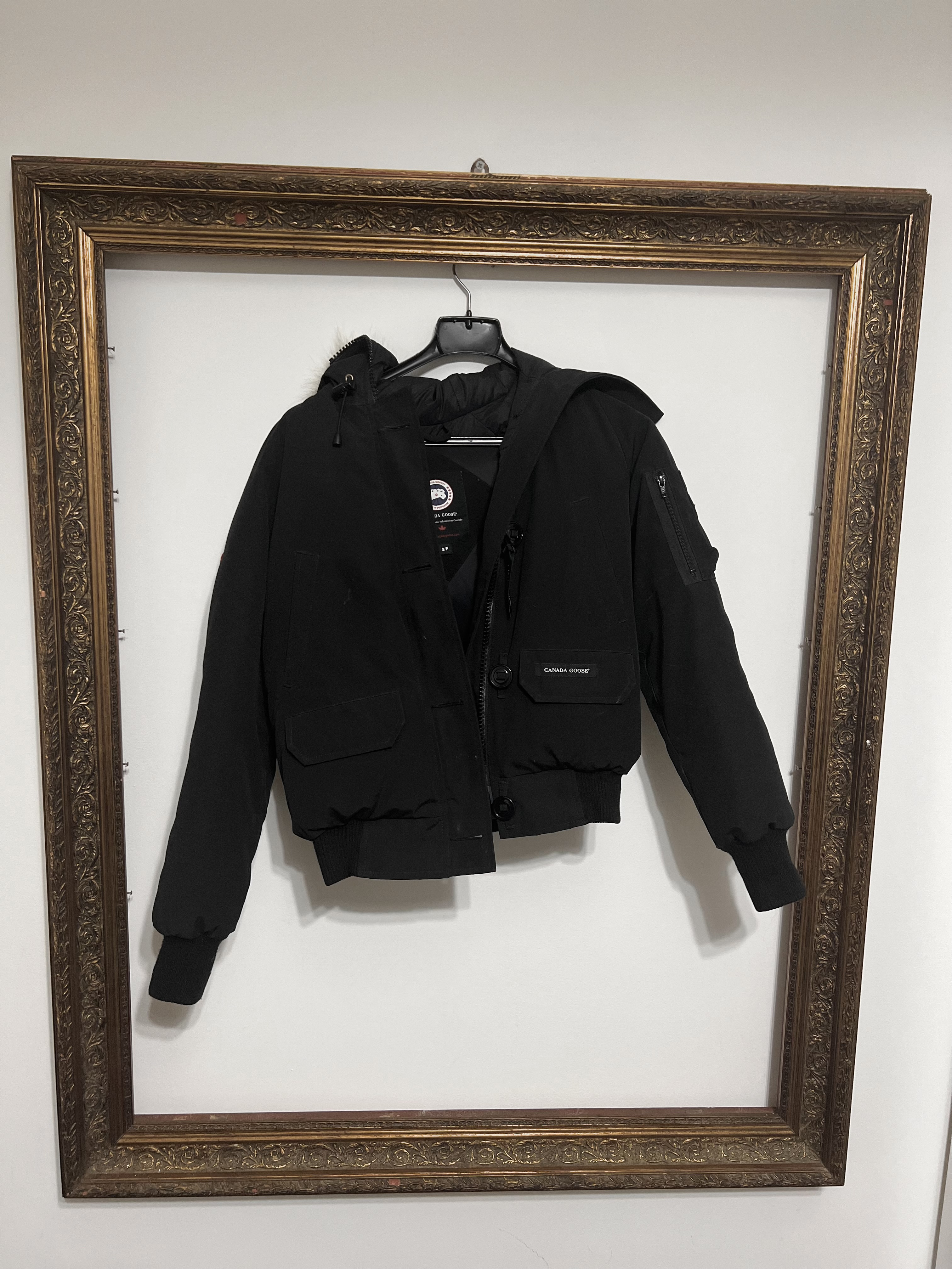 Canada Goose chilliwack