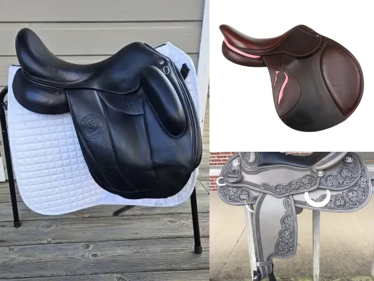 Chevaux & Équitation