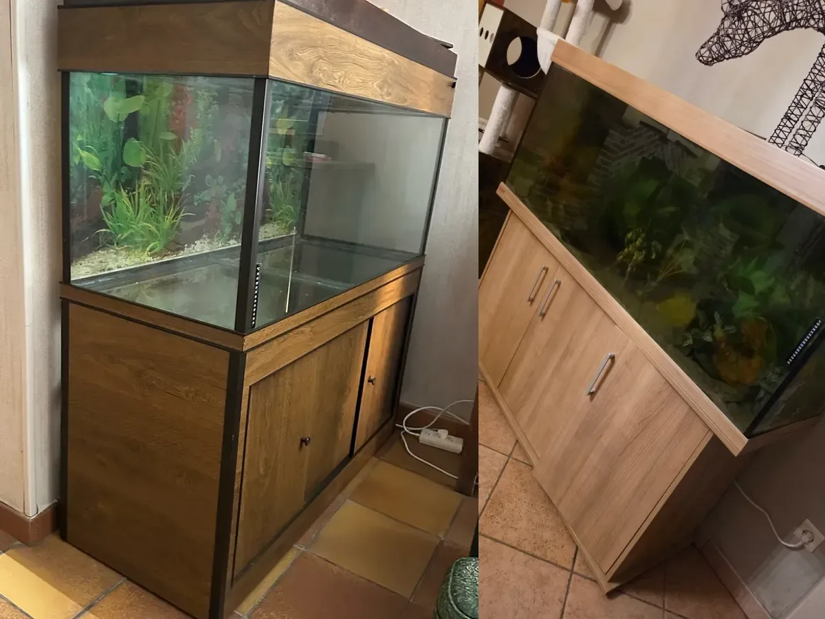 Poissons & Aquariophilie